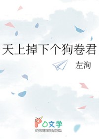 [���ͬ��] ���ϵ��¸�������