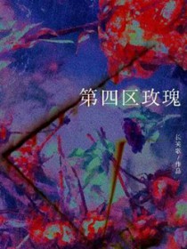 ������õ��