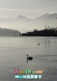 BTS������ͬ���ĺϼ�(ALL��)