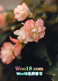 �������߷����ۿ촩��