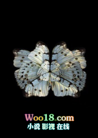 ����֮����