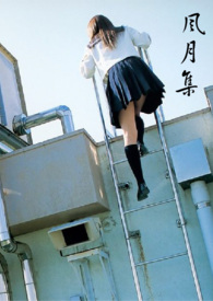 �����Ƽ�����