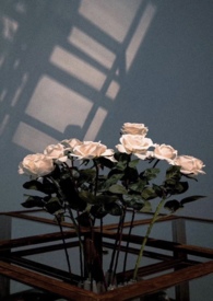 ǰ����ʲ���