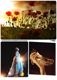 �ڻҽ���ӵ����