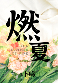 ȼ�ģ�1V1 H��