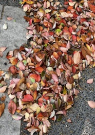 ���ߵ����ӣ���÷����h��